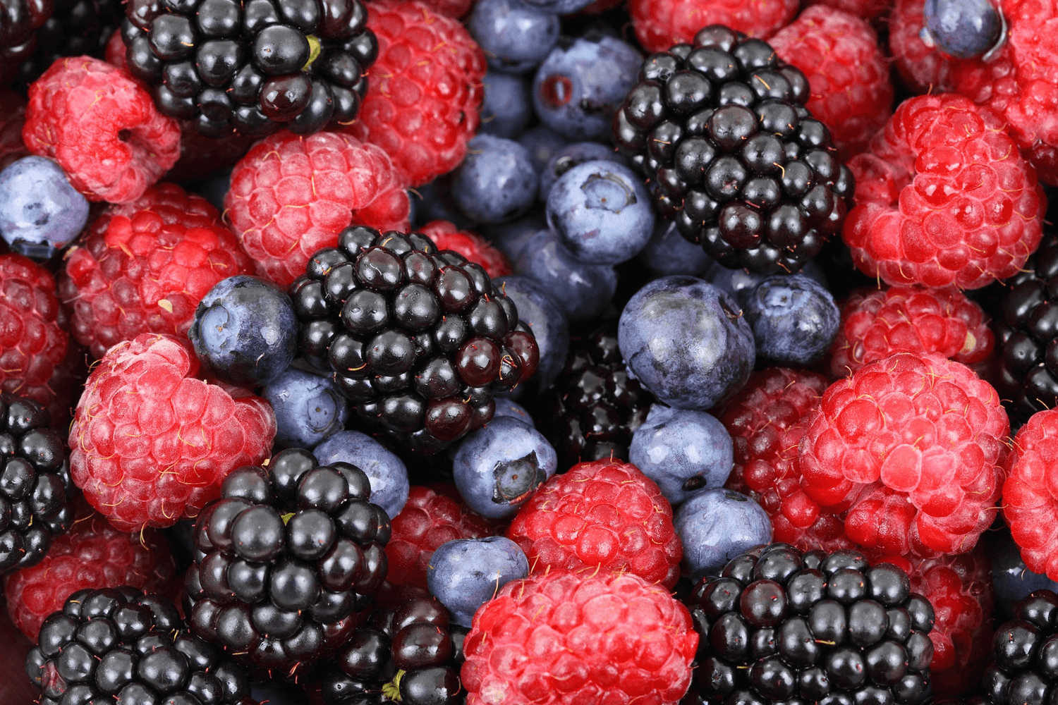 rsz_berries-horiz.png